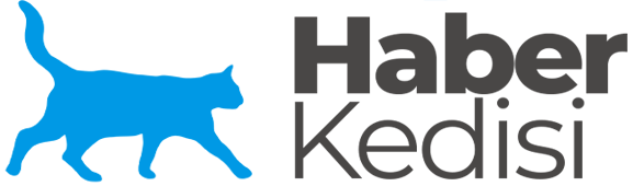 Haber Kedisi